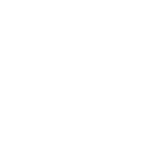 Our Vision Our Vision